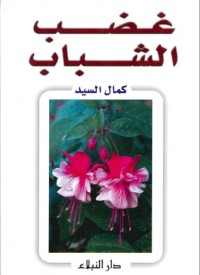 رواية غضب الشباب