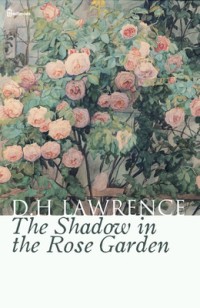 The Shadow in the Rose Garden