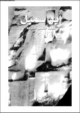 كتاب أبو سمبل