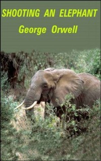 Shooting an Elephant
