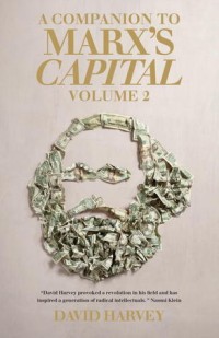 A Companion to Marx's Capital, Volume 2