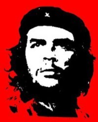 كتاب ارنستو تشى جيفارا