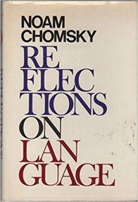 Reflections on Language