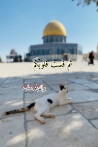 رواية ثم قست قلوبكم