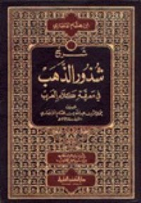 كتاب شرح شذور الذهب في معرفة كلام العرب