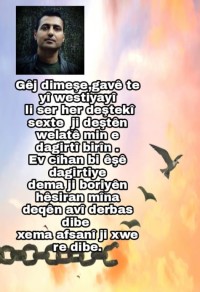 Rewrewkên xwînî