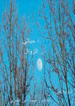 رواية قمر الزوال