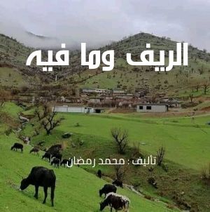 كتاب الريف وما فيه