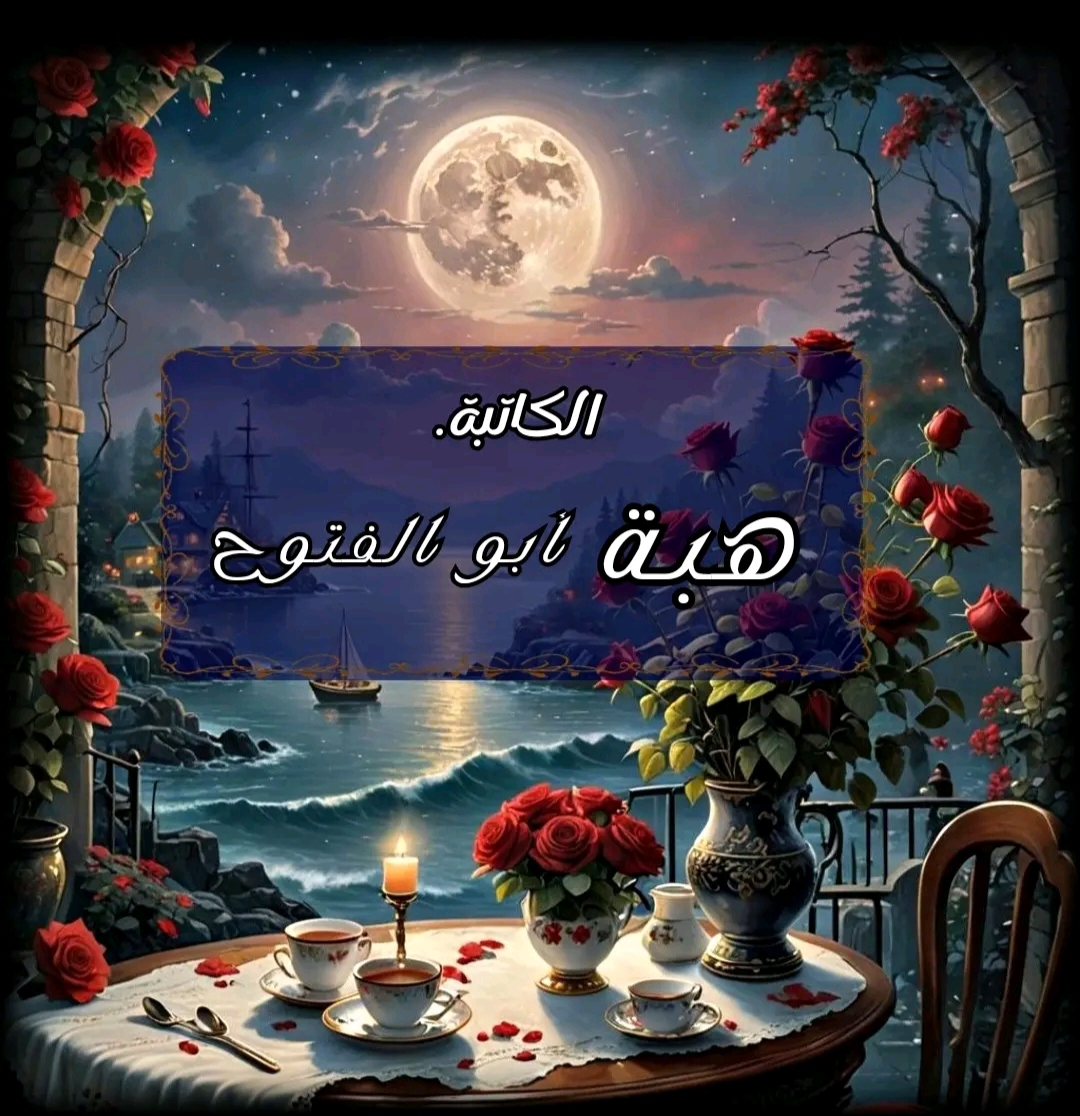 هبة أبو الفتوح
