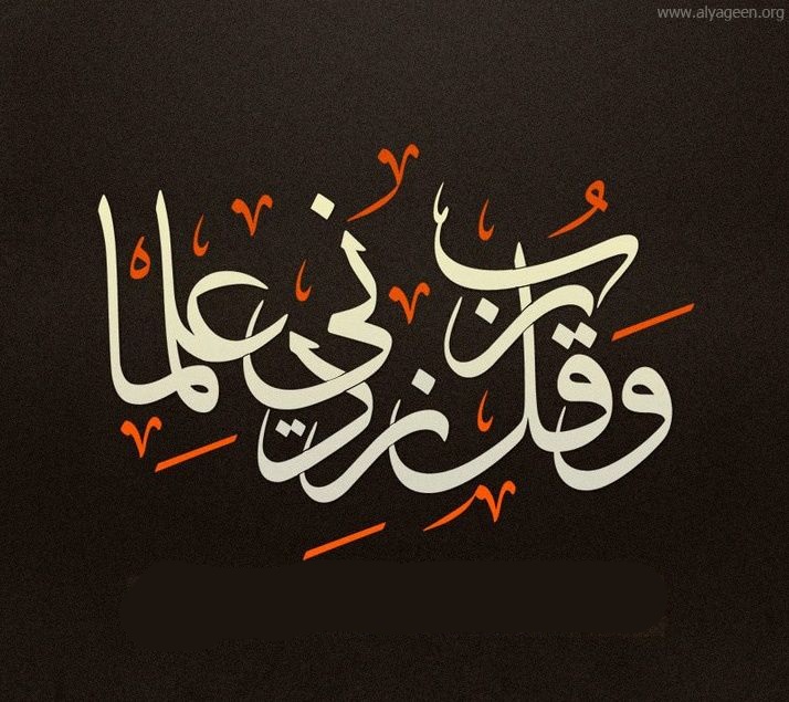 محمد فكري شرف الدين