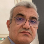 محسن الكومي