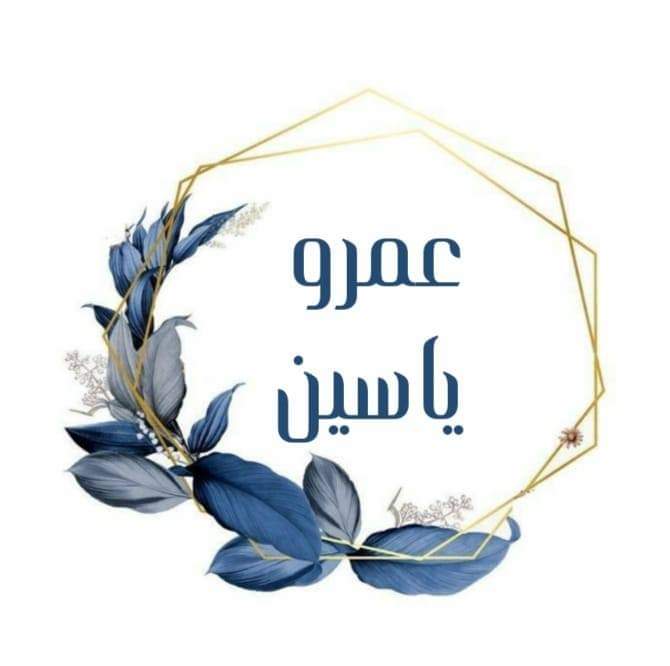 عمرو ياسين