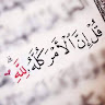 عمر والي