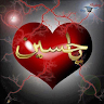 السيد حسين الفياض