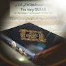 عماد محمود أمين