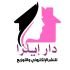 نبيلة علي متوج