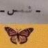 سارة محمد قربيش