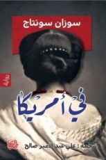 رواية في أمريكا