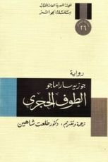 رواية الطوف الحجري