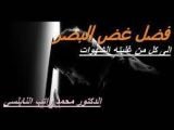 كتاب غض البصر