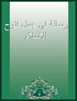 كتاب رسالة في جمل فتوح الإسلام