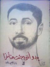 كتاب يبدو أنني جئت متأخرا