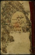 كتاب حوض الحيات / مرآة المعاني في إدراك العالم الإنساني