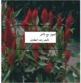 كتاب الحوار مع الآخر