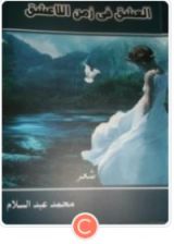 كتاب العشق فى زمن اللاعشق