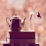 كتاب الأمثال والحكم