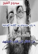 كتاب السلفيون من الظل إلى قلب المشهد