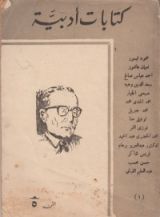 كتاب كتابات أدبية