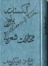 كتاب الكسندر بلوك: مختارات شعرية