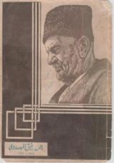 كتاب ديوان شاعر الوطن الكبير