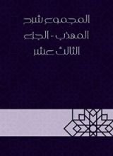 كتاب المجموع شرح المهذب - الجزء الثالث عشر