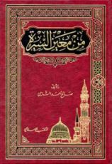 كتاب من معين السيرة