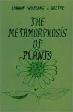 The Metamorphosis of Plants