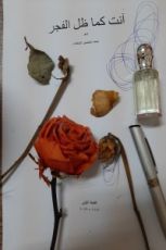 كتاب ديوان أنت كما ظل الفجر