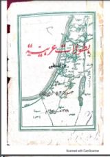 كتاب بطولات عربية من فلسطين