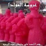 كتاب عروسة المولد