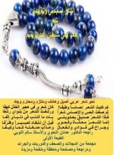 كتاب الشعر مسبحتي وتغريدتي