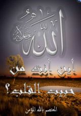 رواية أين أنت من حبيب القلب؟