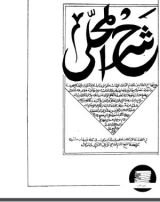 شرح المحلى على منهاج الطالبين 2