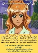 كتاب ديوان ذل الجمال