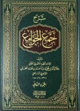 كتاب شرح جمع الجوامع 2