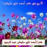 كتاب الأريج في شعر أحمد علي سليمان!