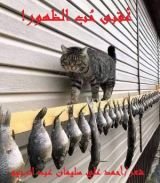 كتاب عقبى حب الظهور !