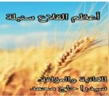 رواية أعظم القلاع سنبلة