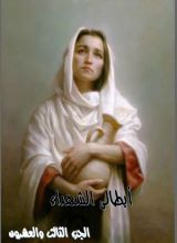 كتاب ابطالى الشهداء - الجزء الثالث و العشرون