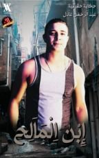 كتاب إبن المالح